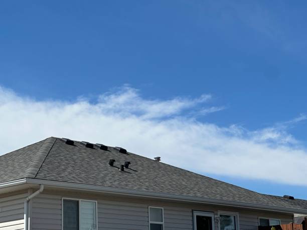 Best Roof Maintenance and Cleaning  in Del Aire, CA